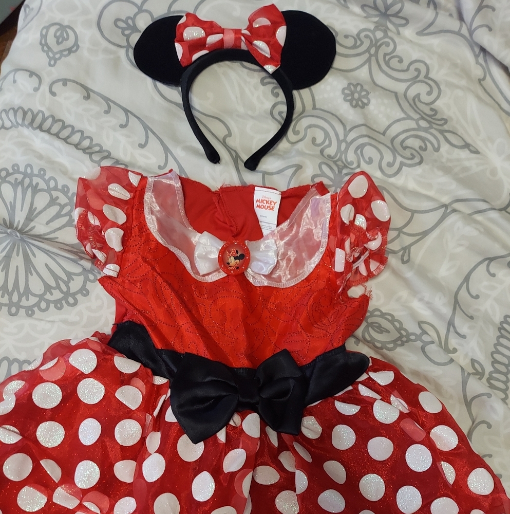 Disney Minnie Mouse Costume